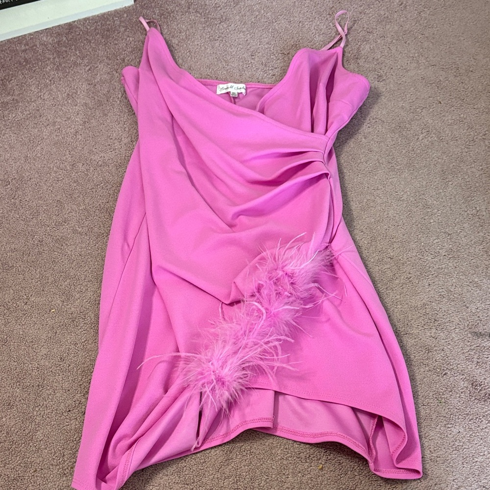 Emerald Sundae Pink Dress with Feather Detail